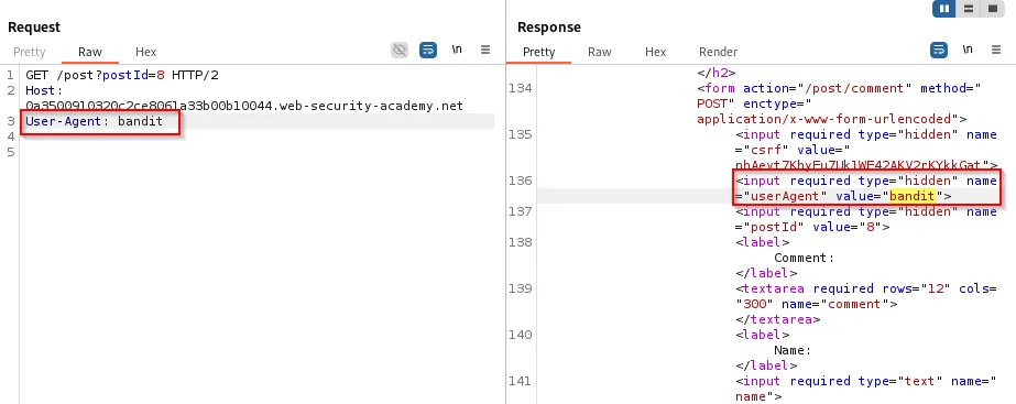 reflected useragent in response